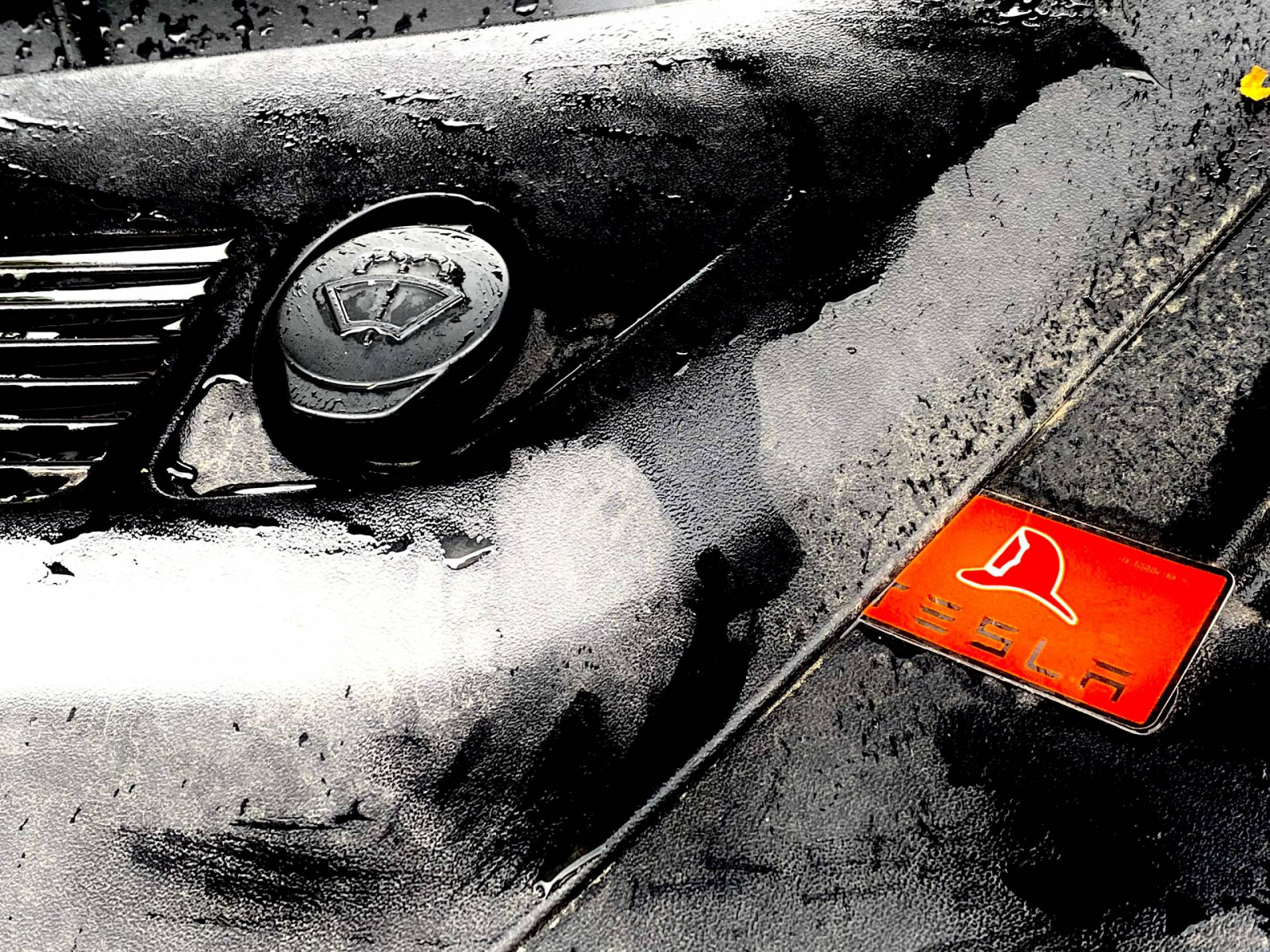 EV-Team van der Steege